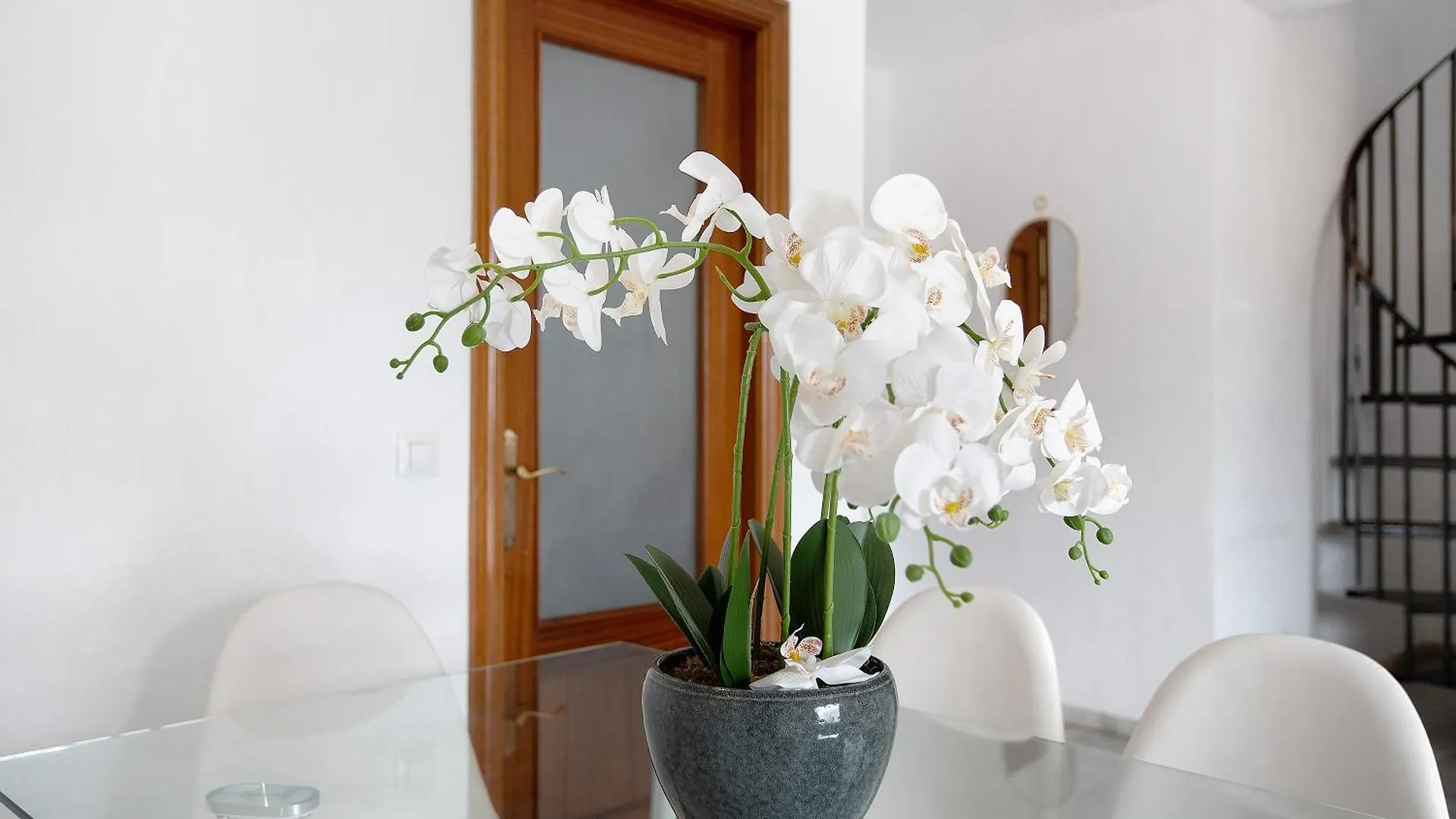 Atico Duplex En Malaga Apartment 0*,